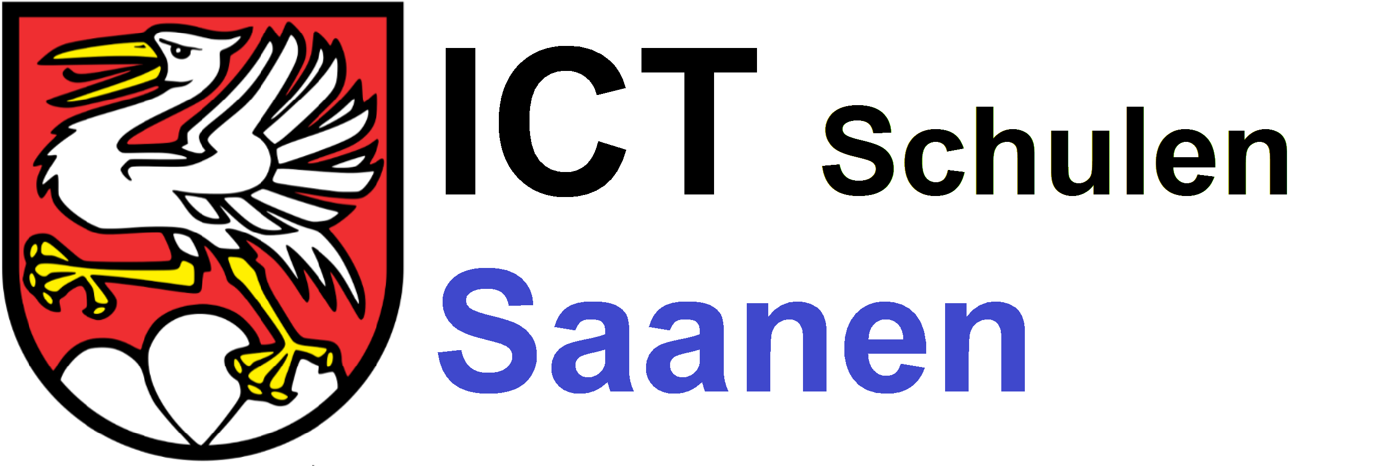 ICT Support Schulen Saanen